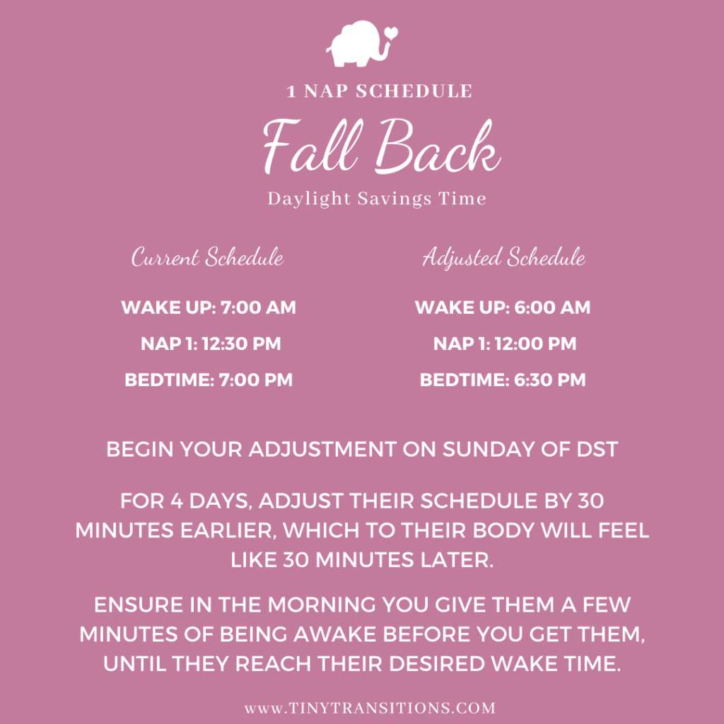 How to Fall Back - A Step-by-Step Guide & Sample Nap Schedules