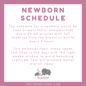 Newborn Schedule