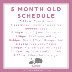 5 Month Old Schedule