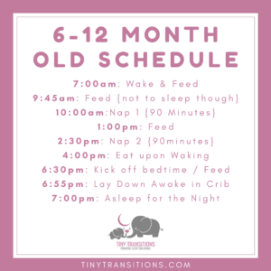 6 - 12 Month Old Schedule
