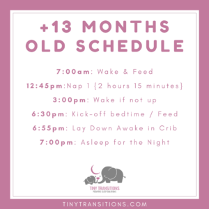 +13 Month Old Schedule
