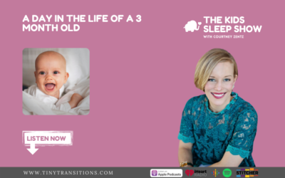 Episode 75 –  A Day in the Life of a 3 Month Old