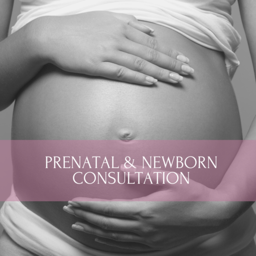 Consulta Prenatal y del Recién Nacido