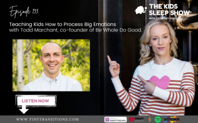 Episode 133: Teaching Children to Process Big Emotions with Todd Marchant
