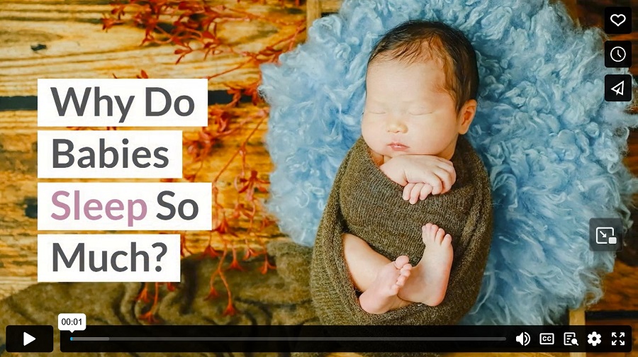 Why Do Babies Sleep So Much?