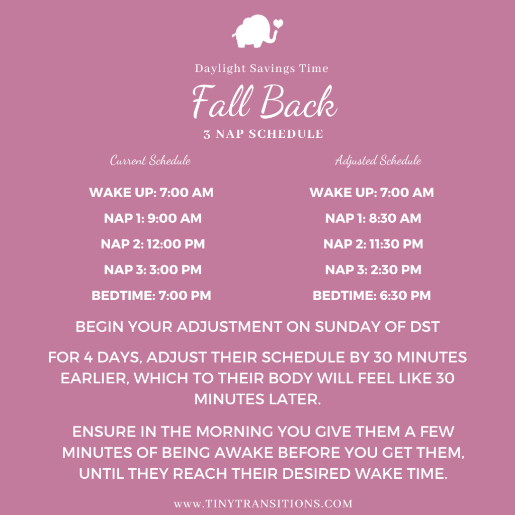 Fall Back Sample Schedule for 5 Month old