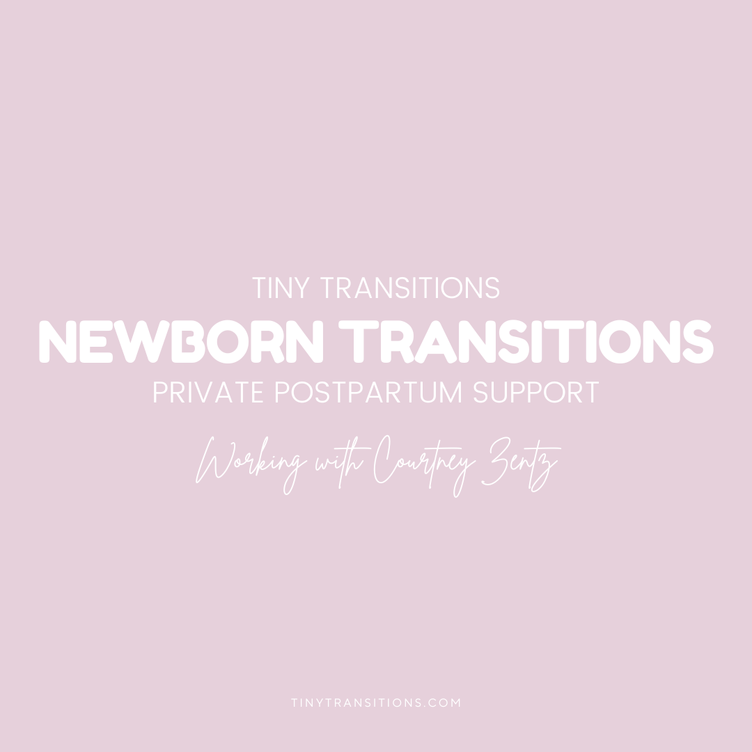 Newborn Transitions - Private Postpartum Support with Courtney Zentz
