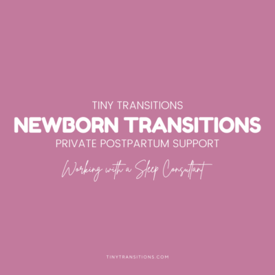 Newborn Transitions - Private Postpartum Support with a Consultant