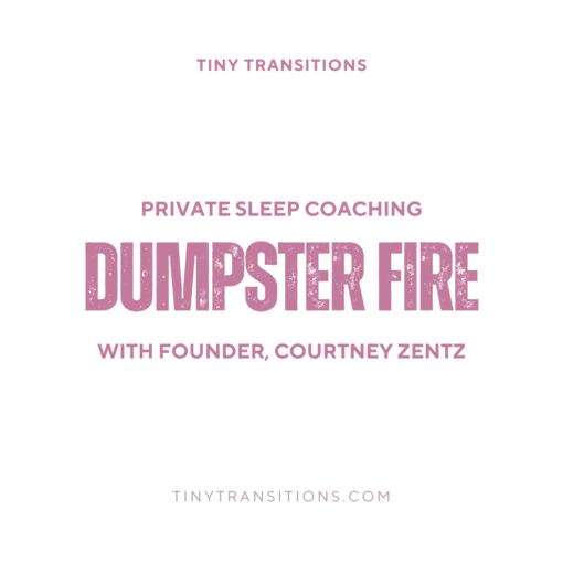 Dumpster Fire - Working with Courtney Zentz