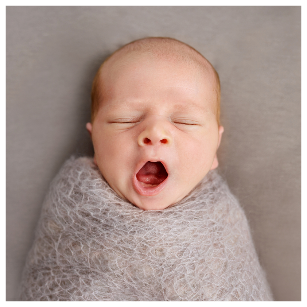 Can you sleep train a newborn?